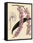 Foxtail Orchids, A?des Lobbii-John Nugent Fitch-Framed Stretched Canvas