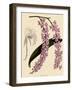 Foxtail Orchids, A?des Lobbii-John Nugent Fitch-Framed Giclee Print