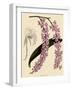 Foxtail Orchids, A?des Lobbii-John Nugent Fitch-Framed Giclee Print