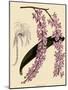 Foxtail Orchids, A?des Lobbii-John Nugent Fitch-Mounted Giclee Print