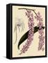 Foxtail Orchids, A?des Lobbii-John Nugent Fitch-Framed Stretched Canvas