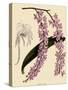 Foxtail Orchids, A?des Lobbii-John Nugent Fitch-Stretched Canvas