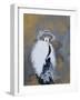 Foxy Lady, 2015-Susan Adams-Framed Giclee Print