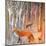 Foxy Wood-Claire Westwood-Mounted Art Print