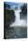 Foz De Iguazu (Iguacu Falls)-Michael Runkel-Stretched Canvas