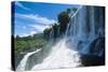Foz De Iguazu, Largest Waterfalls, Iguazu National Park-Michael Runkel-Stretched Canvas