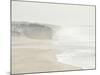 Foz Do Arelho Seashore in a Foggy Day. Portugal-Mauricio Abreu-Mounted Photographic Print