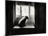 Fozzie Waiting-Tim Kahane-Mounted Photographic Print