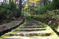 Stone Staircase with A Moss.-fpdress-Photographic Print