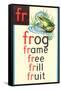 FR for Frog-null-Framed Stretched Canvas