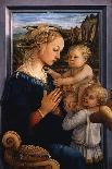 Madonna and Child with Scenes from the Life of the Virgin, 1452-Fra Filippo Lippi-Giclee Print
