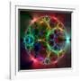 Fractal, Artwork-Mehau Kulyk-Framed Photographic Print