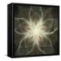 Fractal Background-simas2-Framed Stretched Canvas