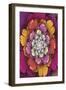 Fractal Blooms II-James Burghardt-Framed Art Print