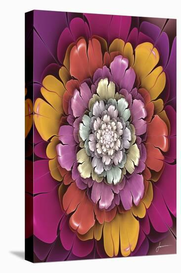 Fractal Blooms II-James Burghardt-Stretched Canvas