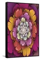 Fractal Blooms II-James Burghardt-Framed Stretched Canvas