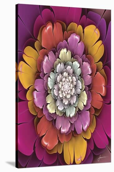 Fractal Blooms II-James Burghardt-Stretched Canvas