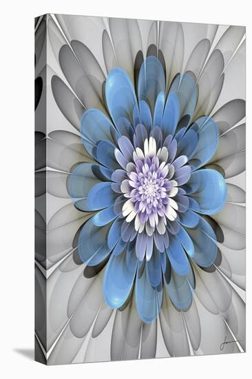 Fractal Blooms III-James Burghardt-Stretched Canvas