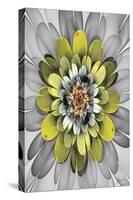 Fractal Blooms IV-James Burghardt-Stretched Canvas