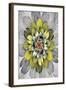 Fractal Blooms IV-James Burghardt-Framed Art Print