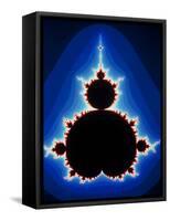 Fractal Geometry Showing Mandelbrot Set-Dr. Seth Shostak-Framed Stretched Canvas