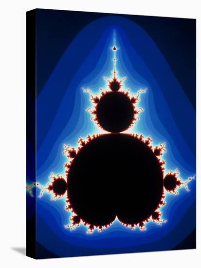 Fractal Geometry Showing Mandelbrot Set-Dr. Seth Shostak-Stretched Canvas