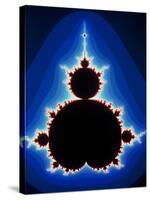 Fractal Geometry Showing Mandelbrot Set-Dr. Seth Shostak-Stretched Canvas