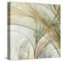 Fractal Grass III-James Burghardt-Stretched Canvas