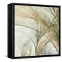 Fractal Grass III-James Burghardt-Framed Stretched Canvas