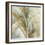 Fractal Grass IV-James Burghardt-Framed Art Print