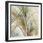 Fractal Grass IV-James Burghardt-Framed Art Print