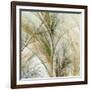 Fractal Grass IV-James Burghardt-Framed Art Print