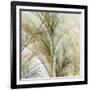 Fractal Grass IV-James Burghardt-Framed Art Print