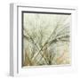 Fractal Grass VI-James Burghardt-Framed Art Print