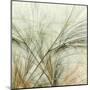 Fractal Grass VI-James Burghardt-Mounted Art Print