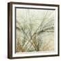 Fractal Grass VI-James Burghardt-Framed Art Print