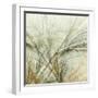 Fractal Grass VI-James Burghardt-Framed Art Print