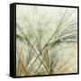 Fractal Grass VI-James Burghardt-Framed Stretched Canvas