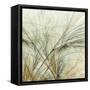 Fractal Grass VI-James Burghardt-Framed Stretched Canvas