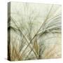 Fractal Grass VI-James Burghardt-Stretched Canvas