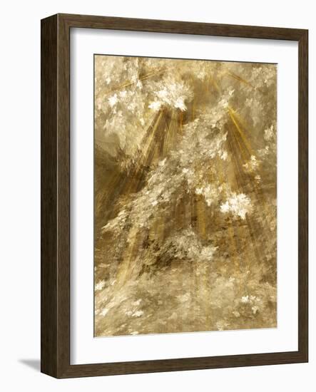 Fractal Light II-Alan Hausenflock-Framed Photographic Print