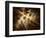 Fractal Light III-Alan Hausenflock-Framed Photographic Print