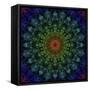 Fractal Mandala 10-Delyth Angharad-Framed Stretched Canvas