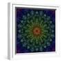 Fractal Mandala 10-Delyth Angharad-Framed Giclee Print