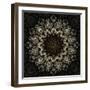 Fractal Mandala 11-Delyth Angharad-Framed Giclee Print