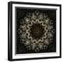 Fractal Mandala 11-Delyth Angharad-Framed Giclee Print