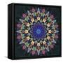 Fractal Mandala 12-Delyth Angharad-Framed Stretched Canvas