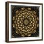 Fractal Mandala 15-Delyth Angharad-Framed Giclee Print