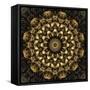 Fractal Mandala 15-Delyth Angharad-Framed Stretched Canvas