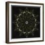 Fractal Mandala 7-Delyth Angharad-Framed Giclee Print